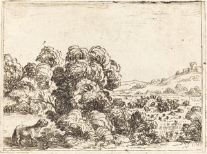 Schaap Roept Lam