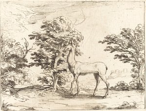 De Hinde door Jacques Callot
