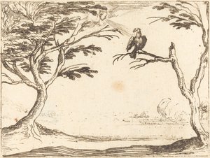 De gier door Jacques Callot