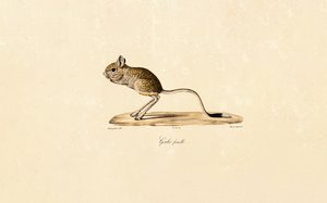  door Jacques Christophe Werner