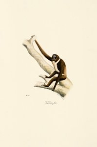  door Jacques Christophe Werner