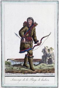 Wilde van de Hudsonbaai (Canada) - in 