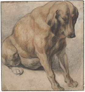 Zittende zwangere hond door Jacques Jordaens
