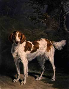 Dash, gegraveerd door Charles Turner, uitgegeven door R. Ackermann Jnr.