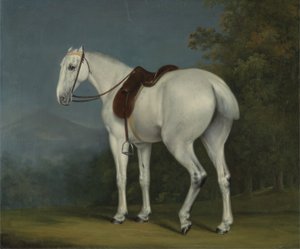 Een Grijze Jager van een Dame, ca. 1806 door Jacques Laurent Agasse
