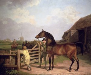 "Bay Ascham", een hengst geleid door een poort naar een merrie
