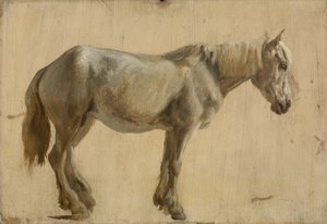 Studie van een grijs paard door Jacques Laurent Agasse