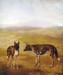 Twee Afrikaanse Jachthonden door Jacques Laurent Agasse