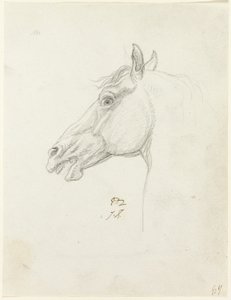 Paardenhoofd