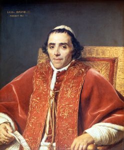 Pius VII (1742 - 1823) (schilderij)