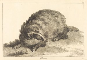 Das door Jacques Philippe Le Bas and Jean Eric Rehn after Jean Baptiste Oudry
