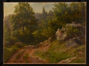 Boslandschap