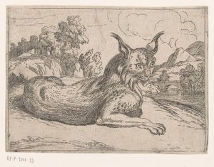 Lynx