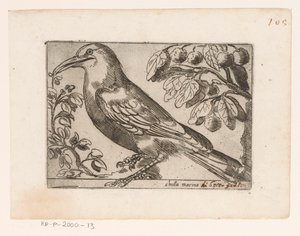 Vogel door Jacques de Fornazeris (possibly)