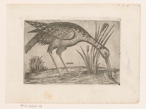 Vogel door Jacques de Fornazeris (possibly)