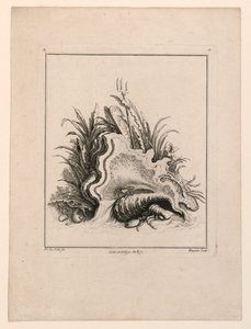 Wapenschild, uit "Recueil Nouveau de Differens Cartouche"
