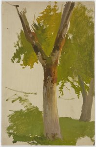 Baum door Jakob Becker