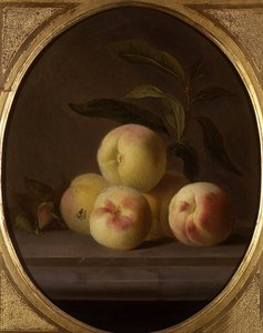 Stilleven van fruit met een vlieg