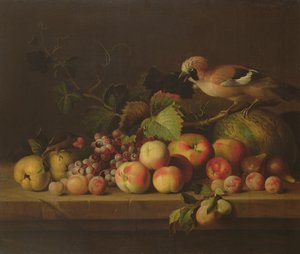 Stilleven met Fruit, een Vlaamse Gaai en een Papegaai