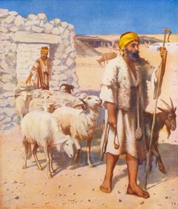 Heilig Land: Herder en schaapskooi