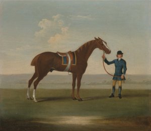 Een Kastanjebruin Paard (mogelijk Old Partner) Gehouden door een Knecht door James (attr.) Seymour