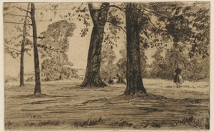 Greenwich Park, 1859 door James Abbott McNeill Whistler