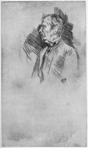Lord Wolseley, 19e eeuw 1904