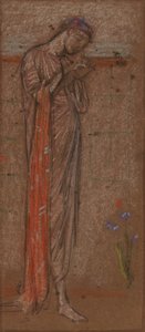 De Paarse Iris, 1871-1872