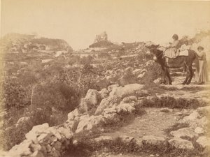 Capri [kind op muilezel] door James Anderson
