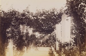 Tuin - Capri door James Anderson