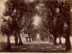 Villa Borghese door James Anderson