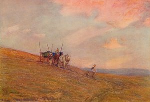 Op de Downs bij Harting, ca. 1870-1906, 1906