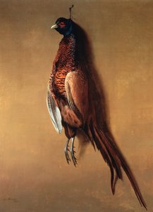 Hangende fazant, 1822 door James Barenger