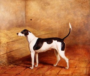 De Hond 