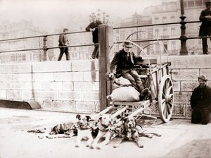 Man met hondenkar, Antwerpen, 1898 door James Batkin
