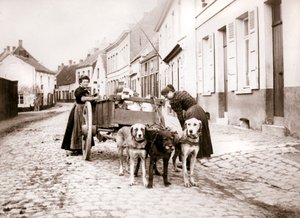 Vrouwen en hondenkar, Antwerpen, 1898