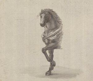 Studie van de voorkant van een paard