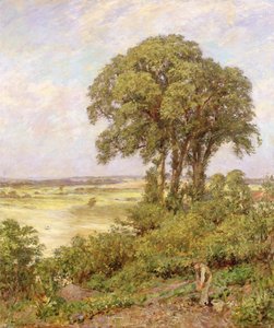 Landschap in Sussex