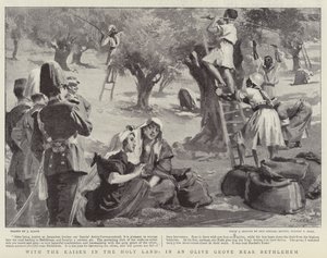 Met de Kaiser in het Heilige Land, in een olijfboomgaard bij Bethlehem