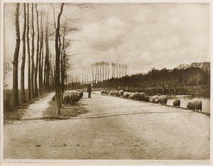 Een Utrechtse Pastorale