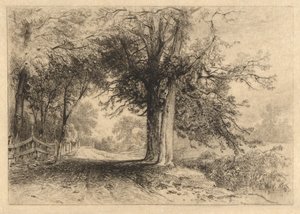 Een boerderijpad, jan. 1887, Opus 2 door James David Smillie