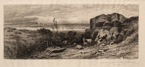 Bij Marblehead Neck