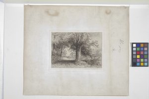Landschap