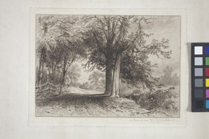 Landschap