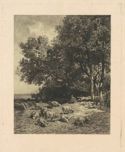 Landschap met Schapen
