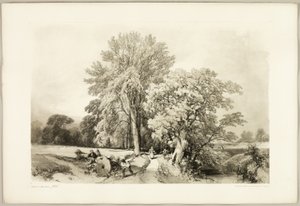 Abele en Eik, uit Het Park en het Bos door James Duffield Harding