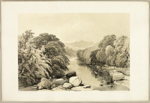 Esdoorn, Es en Eik, uit Het Park en het Bos
