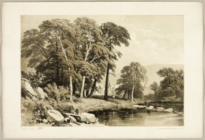 Zwarte Populier, uit Het Park en het Bos door James Duffield Harding