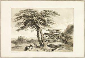 Ceders van Libanon, uit Het park en het bos door James Duffield Harding