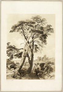 Grove Den, uit Het Park en het Bos door James Duffield Harding
